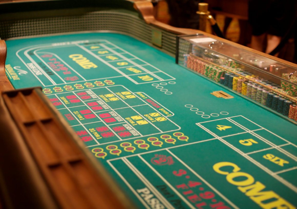 Best casino craps book